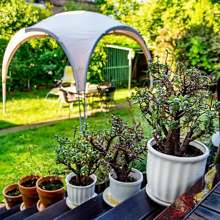 Rydz Homestay Czestochowa